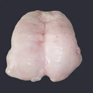 Mutton Tail Fat